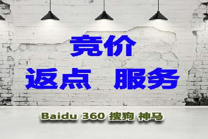 SEM服务公司经典案例集锦